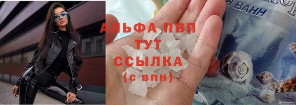 ECSTASY Гусь-Хрустальный