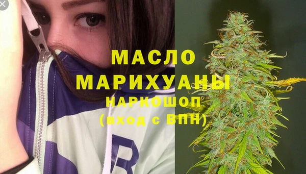 ECSTASY Гусь-Хрустальный