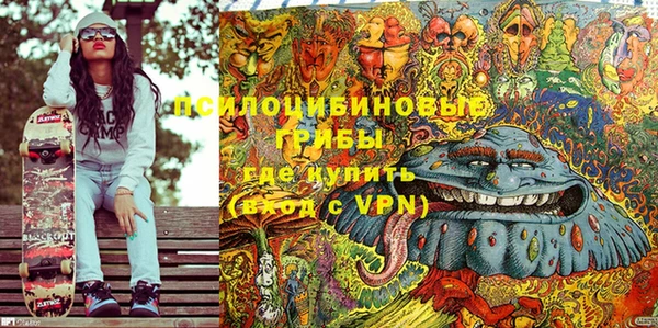 дурь Строитель