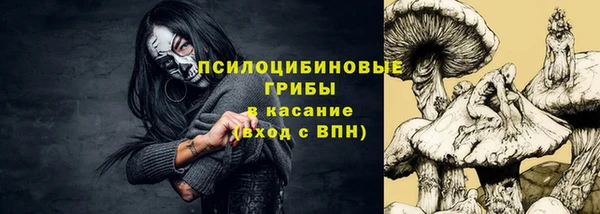 бутират Гусев