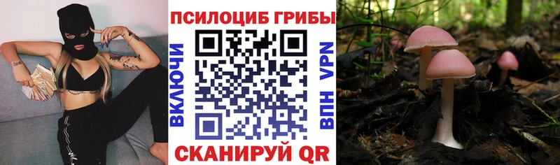 Галлюциногенные грибы MAGIC MUSHROOMS  Дедовск 